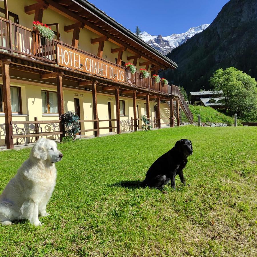 Chalet Du Lys Hotel & Spa 格雷索拉特里尼泰 外观 照片